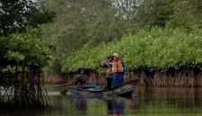 Kawasan konservasi tidak hanya berfungsi sebagai tempat perlindungan bagi flora dan fauna