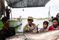 Kamboja baru-baru ini menjadi sorotan dunia setelah ditemukannya enam ikan lele raksasa langka yang terancam punah di Sungai Mekong.