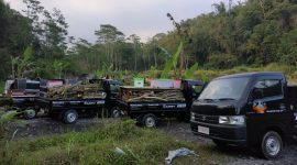 Suzuki Carry dikenal dengan kapasitas angkut yang besar dan mesin yang efisien, menjadikannya pilihan ideal untuk usaha kecil dan menengah