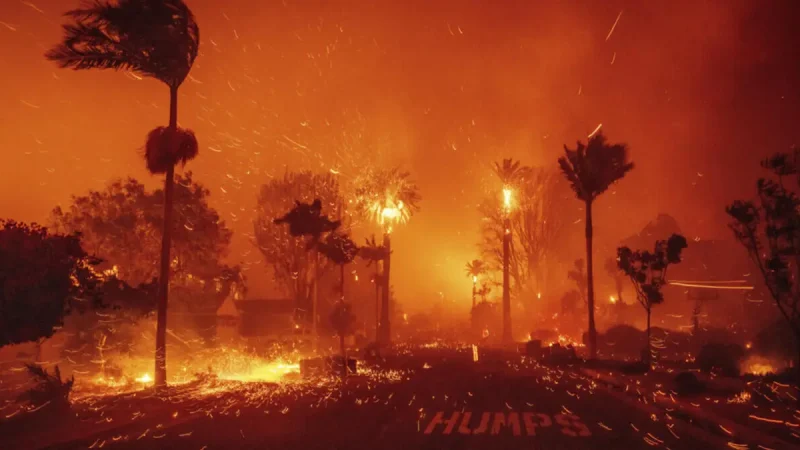 Konsulat Jenderal Republik Indonesia (KJRI) Los Angeles mengungkapkan bahwa sebanyak 97 Warga Negara Indonesia (WNI) terdampak oleh kebakaran hutan besar yang melanda wilayah California Selatan.