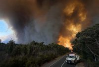 Kebakaran besar yang melanda beberapa wilayah di Australia telah menghanguskan lebih dari 65.000 hektar lahan, jumlah yang hampir setara dengan luas negara Singapura.