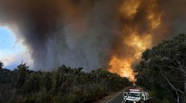 Kebakaran besar yang melanda beberapa wilayah di Australia telah menghanguskan lebih dari 65.000 hektar lahan, jumlah yang hampir setara dengan luas negara Singapura.