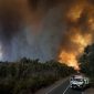 Kebakaran besar yang melanda beberapa wilayah di Australia telah menghanguskan lebih dari 65.000 hektar lahan, jumlah yang hampir setara dengan luas negara Singapura.