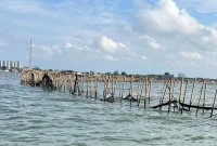 Penyegelan ini diharapkan dapat mencegah kerusakan lebih lanjut terhadap lingkungan laut dan memberikan edukasi kepada masyarakat tentang pentingnya menjaga keberlanjutan sumber daya laut