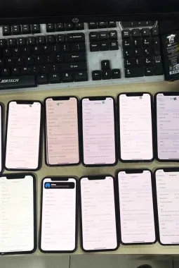 Penangkapan Joki IMEI di Batam, 42 Unit iPhone Disita