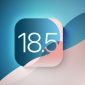 Apple baru saja merilis pembaruan iOS 18.5 dan iPadOS 18.5 pada 13 Mei 2025, membawa sejumlah peningkatan kecil namun signifikan untuk pengguna iPhone dan iPad.