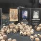 Penobatan Soeharto sebagai pahlawan nasional telah memicu gelombang protes dan perdebatan sengit di kalangan masyarakat Indonesia.