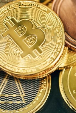 Tanpa Pajak Kripto, 5 Negara Idaman Investor Aset Digital