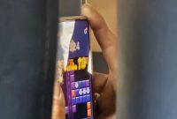 Pada Agustus 2025, India mengesahkan Undang-Undang Promosi dan Regulasi Permainan Online 2025,