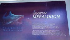Museum Megalodon di Surade, Kabupaten Sukabumi.