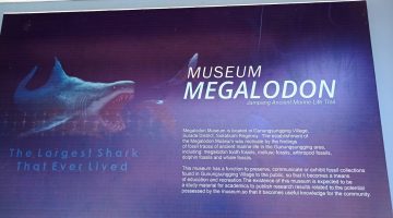 Museum Megalodon di Surade, Kabupaten Sukabumi.