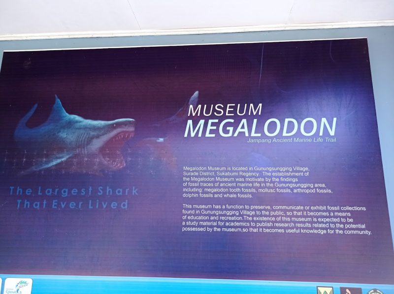 Museum Megalodon di Surade, Kabupaten Sukabumi.