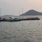 Jepang dilaporkan menawarkan bantuan pembangunan resmi atau Official Development Assistance (ODA) untuk meningkatkan fasilitas pelabuhan perikanan di Kepulauan Natuna.