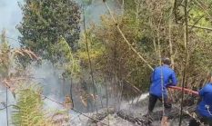 Mengapa Karhutla Sulit Dipadamkan? Ancaman Berulang dari Lahan Gambut dan Aktivitas Manusia