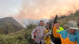 Tragedi menimpa tim pemadam kebakaran hutan dan lahan (karhutla) di kawasan Taman Nasional Bromo Tengger Semeru (TNBTS),