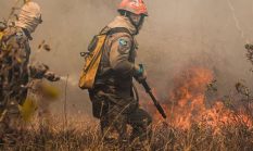 Badai Sempurna di Tanah Air, Ketika Banyak Krisis Saling Mengikat